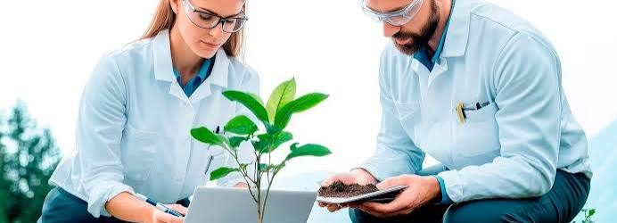 Consultoría ambiental